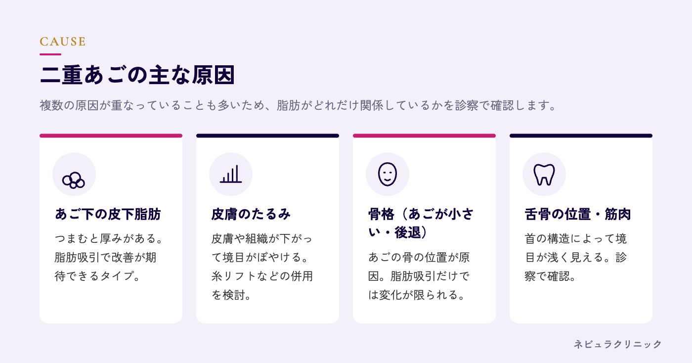 二重あごの原因(皮下脂肪・皮膚のたるみ・骨格・舌骨の位置・筋肉)の図解