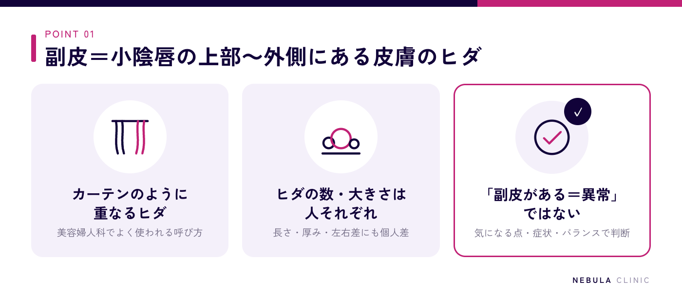 副皮とは何かの図解（小陰唇の上部から外側にかけてカーテンのように重なる皮膚のヒダ。ヒダの数や大きさには個人差があり、副皮がある＝異常ではない）